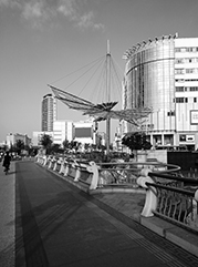 东港公司注册